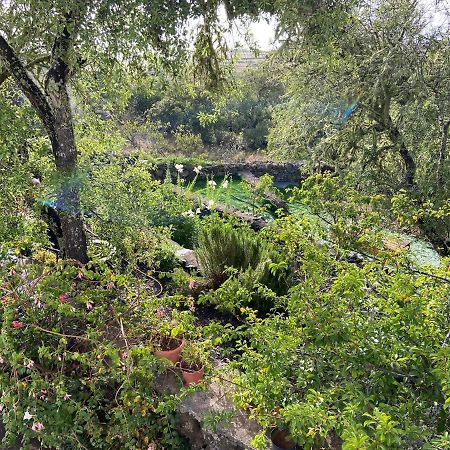 Casas Rurales Tio Antonio Las Rosas  Dış mekan fotoğraf